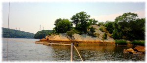 _SailingFridayC