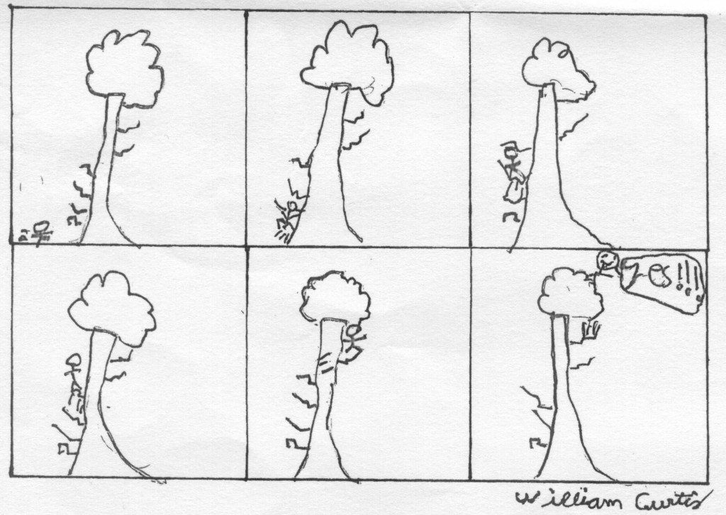 _WillsCartoon