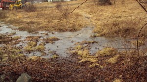 stream (river)