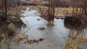 stream (river)