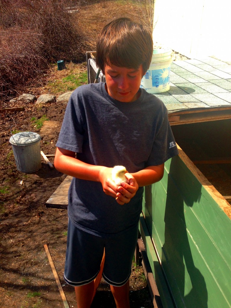 me holding a chicken